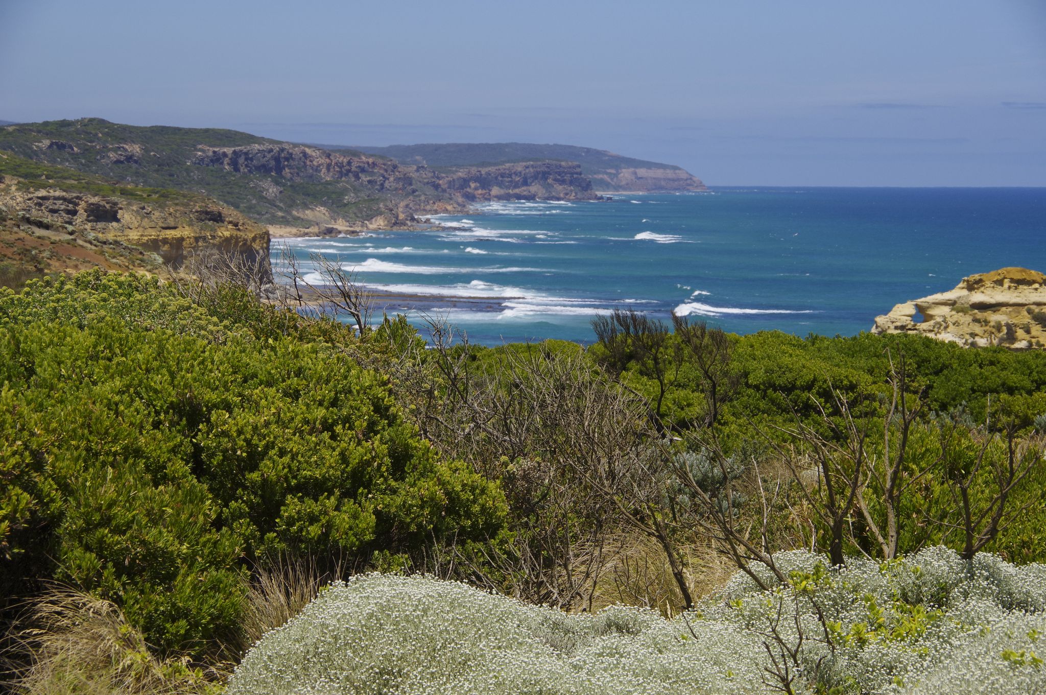 12 26 December 2019 13 01 25   0313